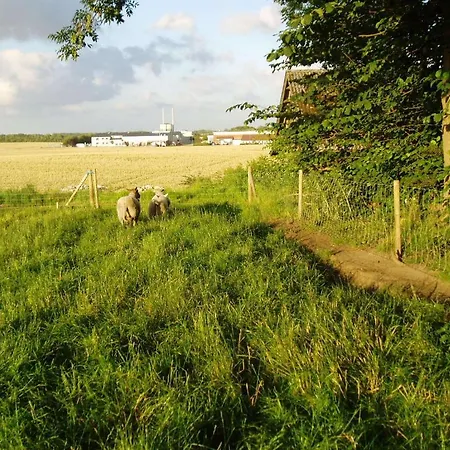 Norrelide Jelling